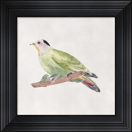 Framed Bird Sketch III Print