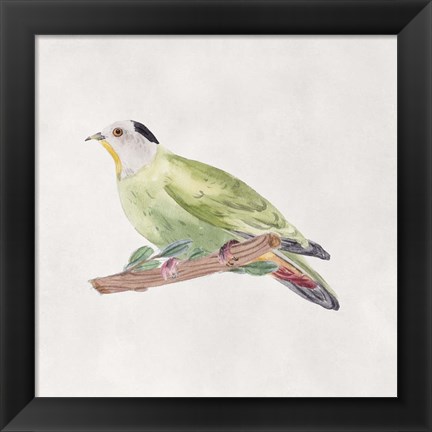 Framed Bird Sketch III Print