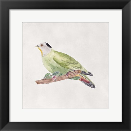 Framed Bird Sketch III Print