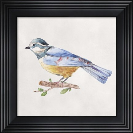 Framed Bird Sketch V Print