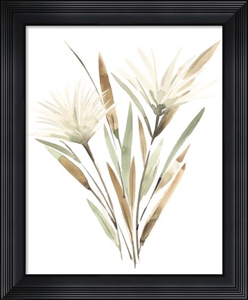 Framed Modest Pedicle II Print