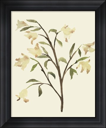 Framed Blest Branch I Print