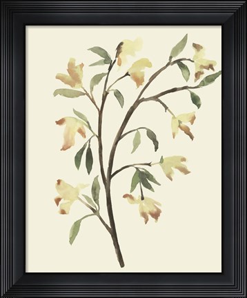 Framed Blest Branch II Print