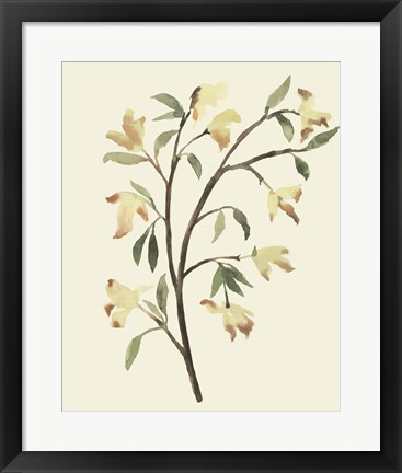 Framed Blest Branch II Print