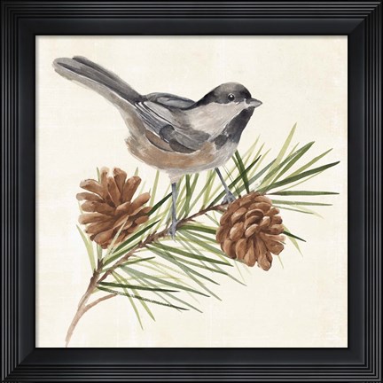 Framed Pine Branch I Print