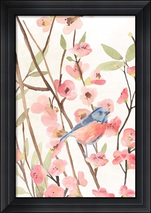 Framed Cherry Blossom Perch I Print