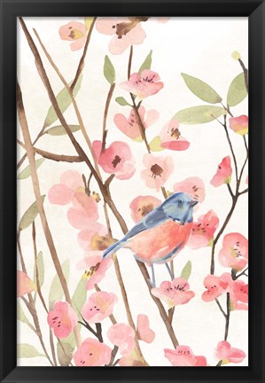 Framed Cherry Blossom Perch I Print
