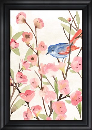 Framed Cherry Blossom Perch II Print