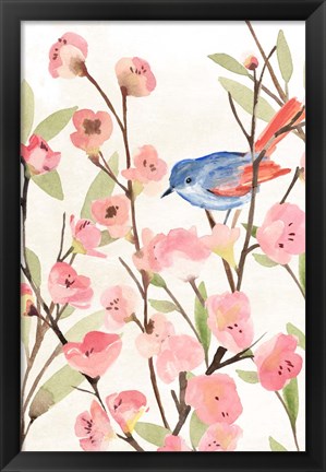 Framed Cherry Blossom Perch II Print