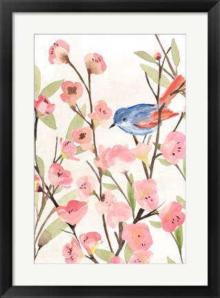 Framed Cherry Blossom Perch II Print