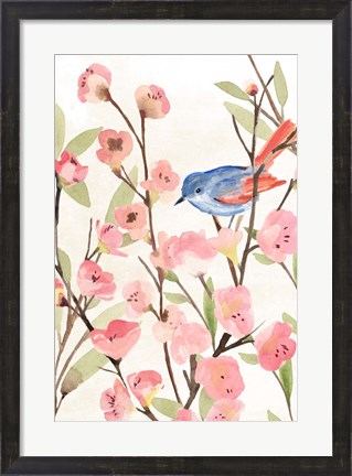 Framed Cherry Blossom Perch II Print