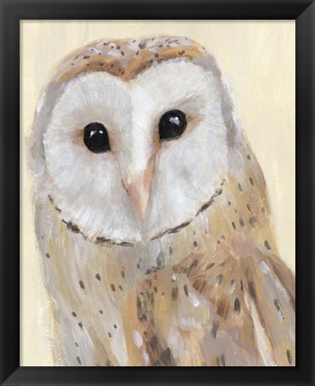 Framed Common Barn Owl I Print