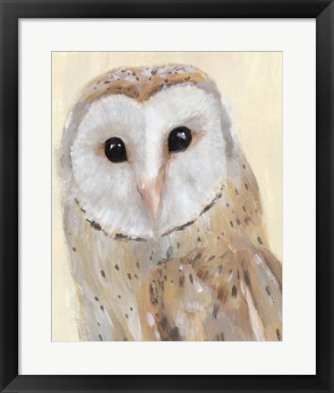 Framed Common Barn Owl I Print