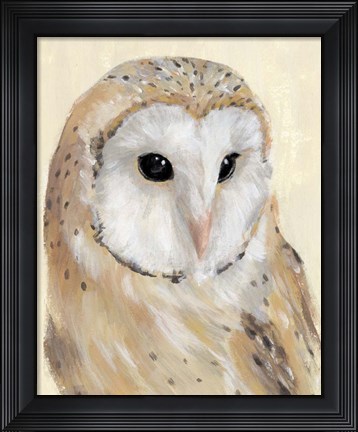 Framed Common Barn Owl II Print