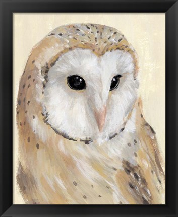 Framed Common Barn Owl II Print