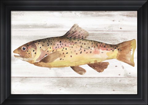 Framed Spotted Trout I Print