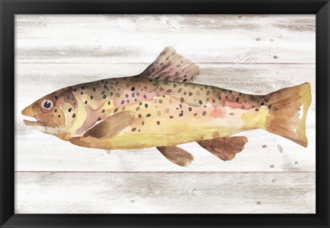 Framed Spotted Trout I Print