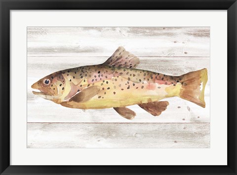 Framed Spotted Trout I Print