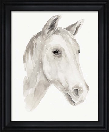 Framed Ivory Stallion I Print