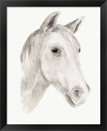 Framed Ivory Stallion I Print