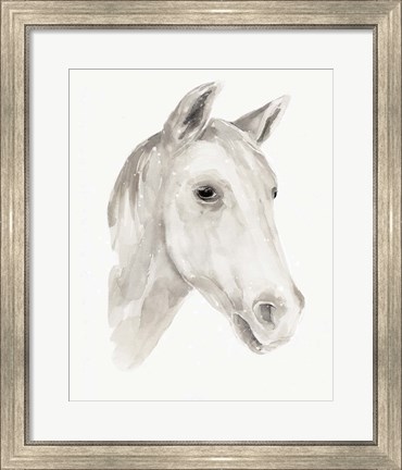 Framed Ivory Stallion I Print