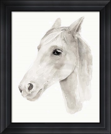 Framed Ivory Stallion II Print