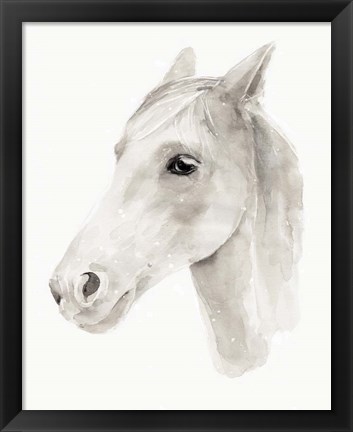 Framed Ivory Stallion II Print