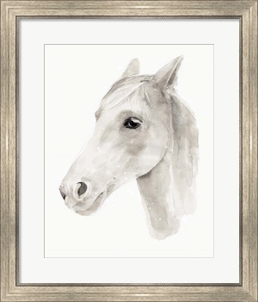 Framed Ivory Stallion II Print