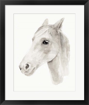 Framed Ivory Stallion II Print