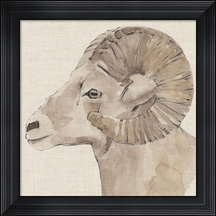 Framed Bighorn Profile I Print