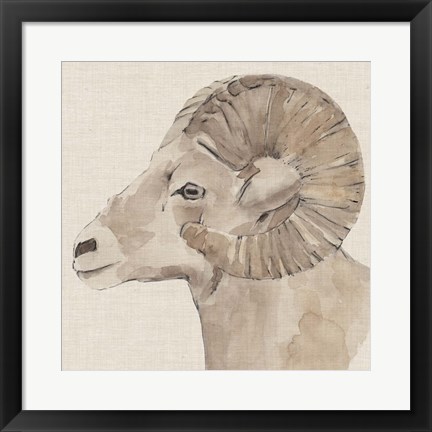 Framed Bighorn Profile I Print