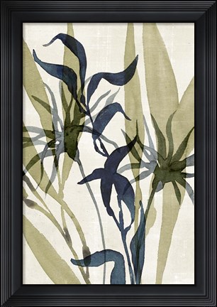 Framed Glassy Depths II Print
