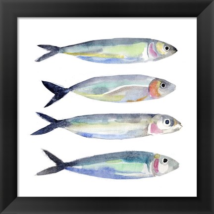 Framed Sardine Team I Print