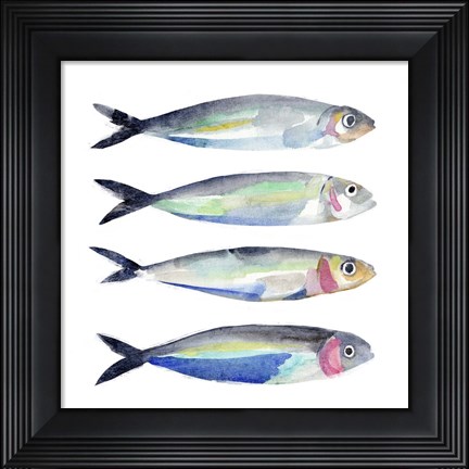 Framed Sardine Team II Print