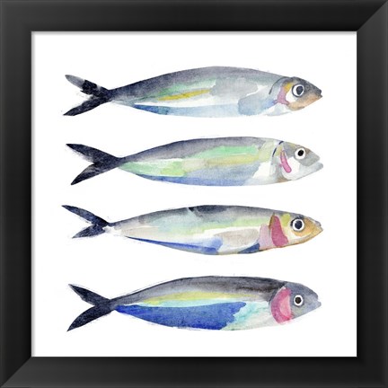 Framed Sardine Team II Print