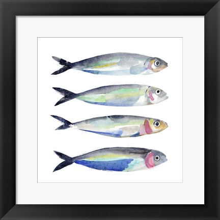 Framed Sardine Team II Print