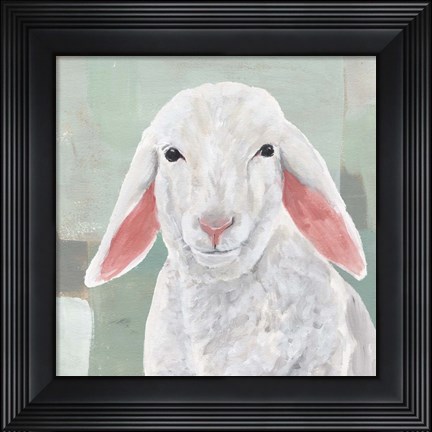 Framed Cotton Ball I Print