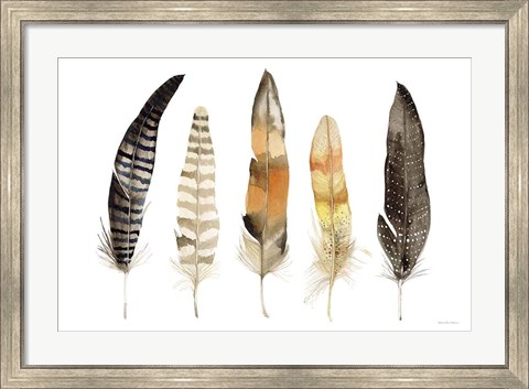 Framed Natural Feathers Print