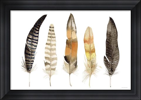 Framed Natural Feathers Print