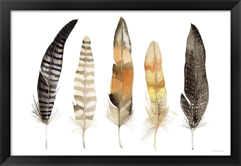 Framed Natural Feathers Print
