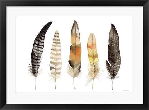 Framed Natural Feathers Print