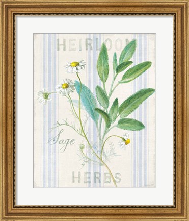 Framed Floursack Herbs III Print