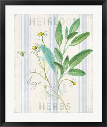 Framed Floursack Herbs III Print