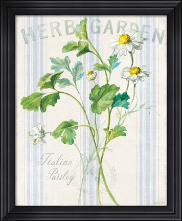 Framed Floursack Herbs II Print