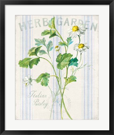 Framed Floursack Herbs II Print