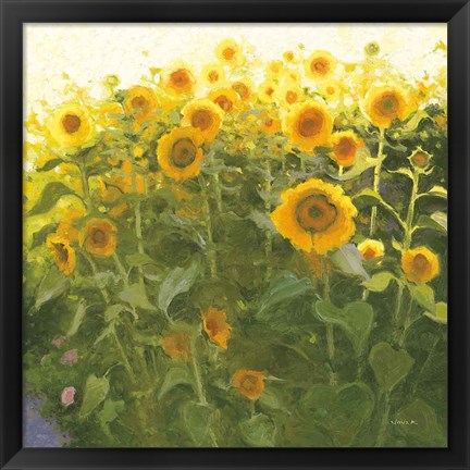 Framed Sunflower Field Print