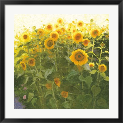 Framed Sunflower Field Print