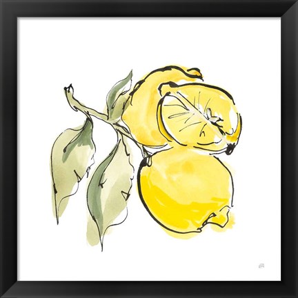 Framed Lemon Still Life II Print