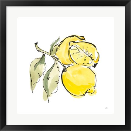 Framed Lemon Still Life II Print