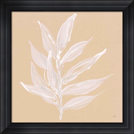 Framed Leaf Study IV Print